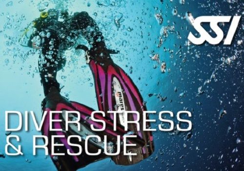 Diver-Stress-and-Rescue Diver Stress and Rescue