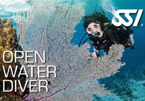 Open Water Diver Open Water Diver