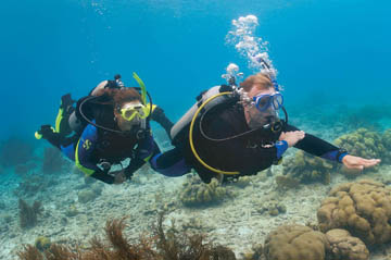 PADI Digital Underwater Photography Course Specialty of the Month Calendar Cards, January, Dry Suit Diver