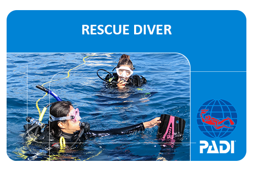 padi rescue padi rescue